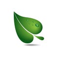 Eco logotype green leave. Environment protect.